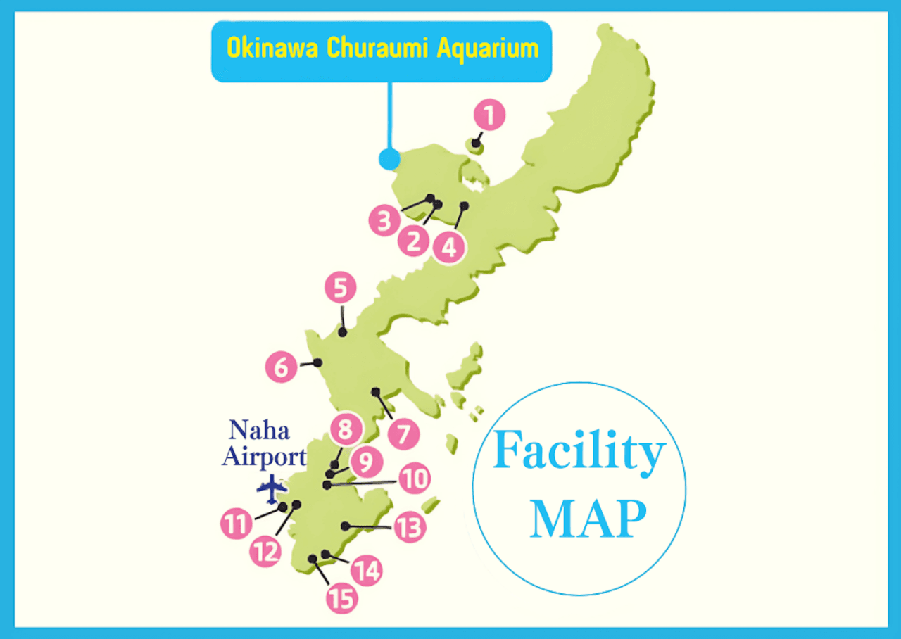 Okinawa Churaumi TokuToku Pass - image 17